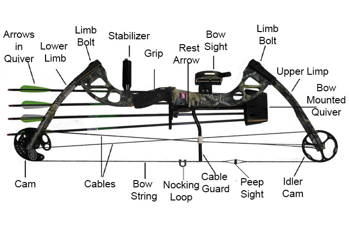 Parts of a Compound Bow